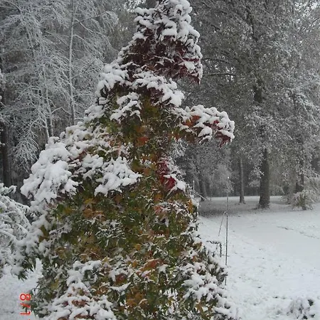 公寓 Huus Ton Witten Barg *