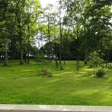 Apartment Huus Ton Witten Barg Undeloh