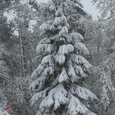 Huus Ton Witten Barg *