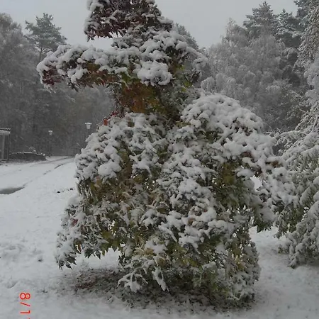 Huus Ton Witten Barg 安德罗