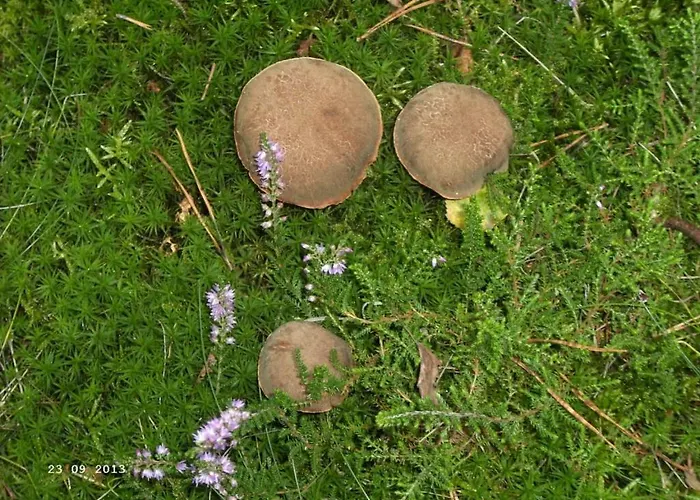 דירה Huus Ton Witten Barg אונדלו