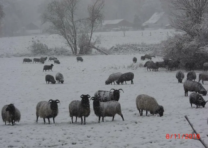 דירה Huus Ton Witten Barg *