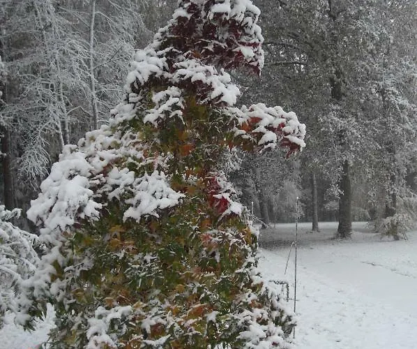 דירה Huus Ton Witten Barg *