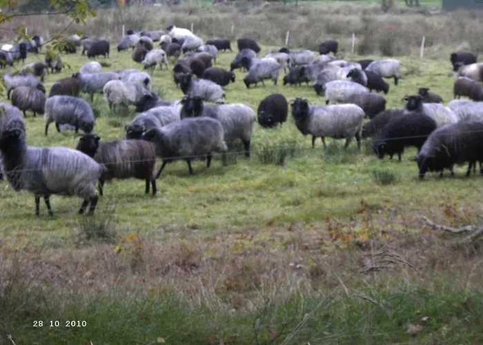 Huus Ton Witten Barg דירה *