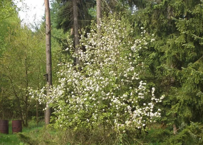 Huus Ton Witten Barg דירה אונדלו