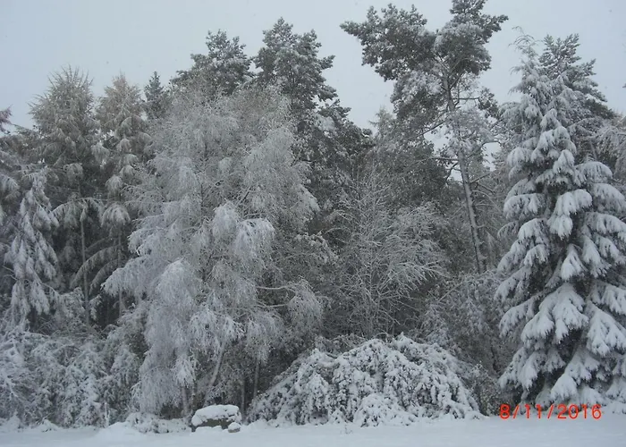 Huus Ton Witten Barg דירה